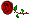 Дарит розу :Rose: